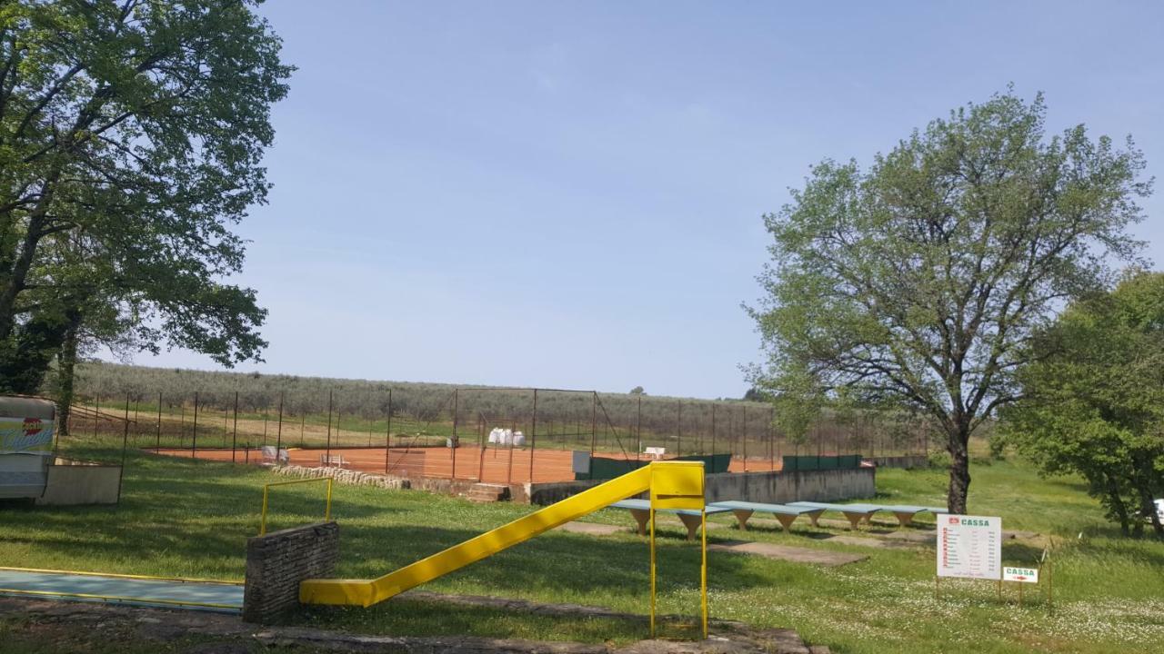 Garden *